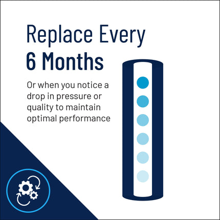 Reminder to replace Pentair Pentek NCP-20BB Big Blue Carbon Water Filter every 6 months for optimal water pressure and filtration quality.