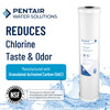 Pentair Pentek RFC-20BB Big Blue Carbon Water Filter, 20-Inch, Whole House Heavy Duty Radial Flow Carbon Replacement Cartridge with Granular Activated Carbon (GAC) Filter, 20" x 4.5", 25 Micron
